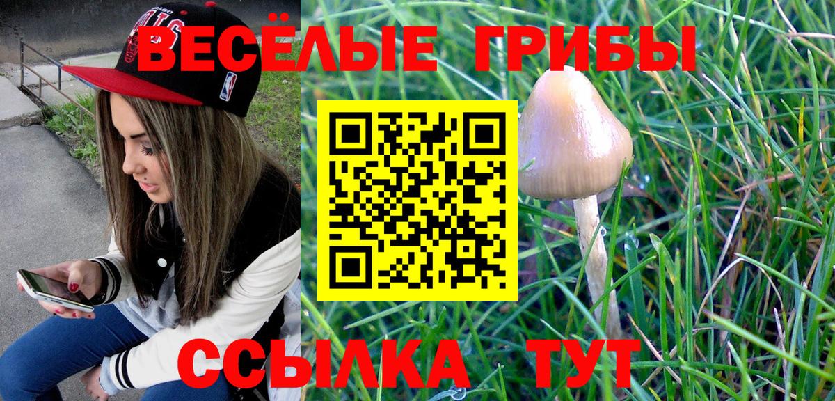 Галлюциногенные грибы ЛСД  Галлюциногенные грибы MAGIC MUSHROOMS  Вход с VPN  Куйбышев 